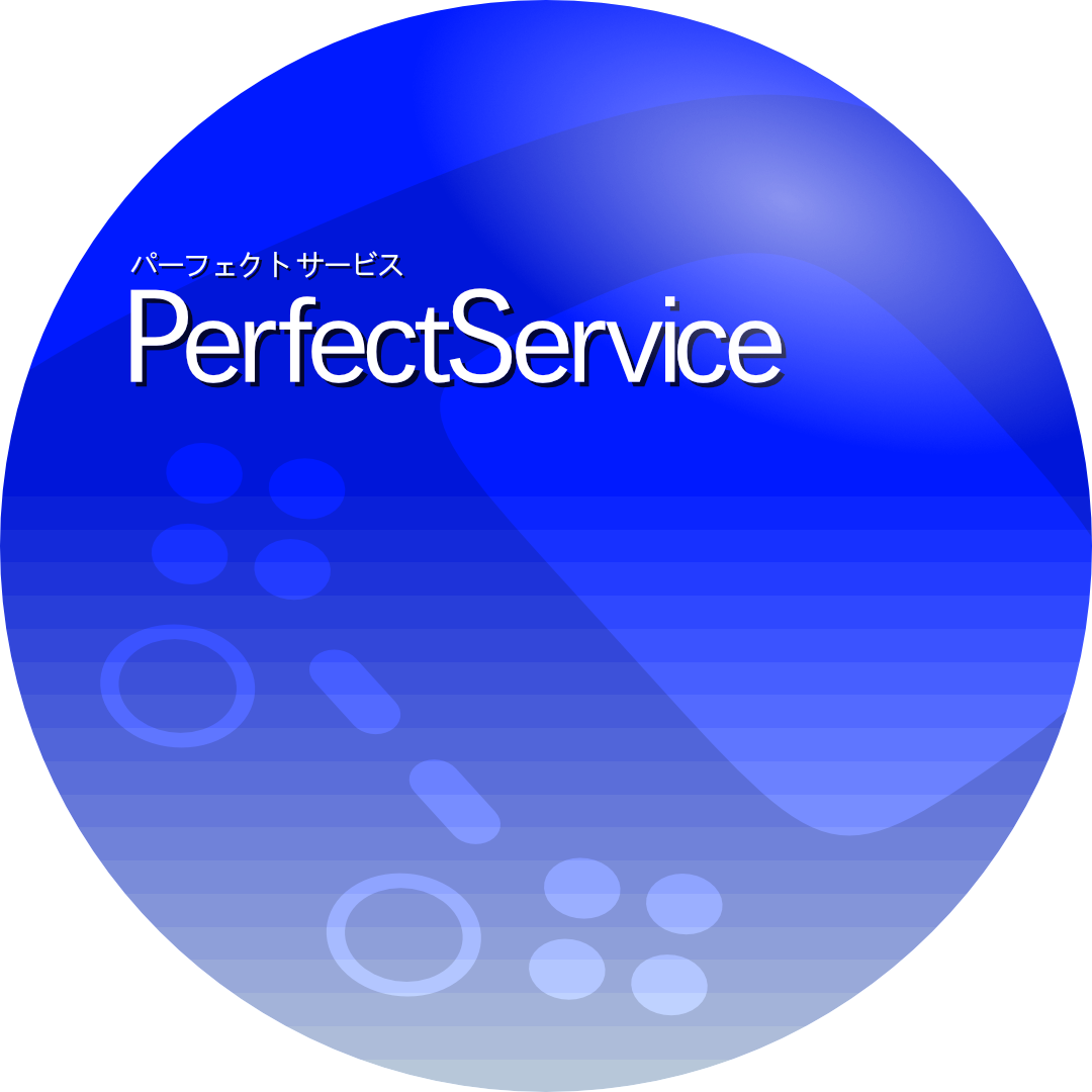 Perfect Service Leading Visual